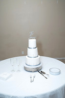 Derek and Sharon Wedding __0101
