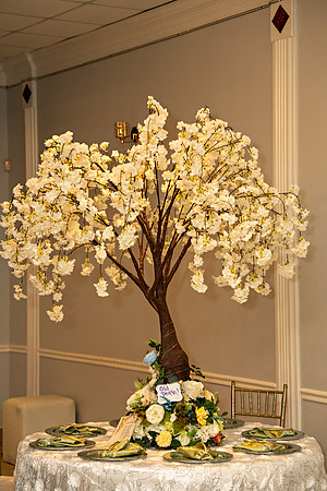 Shantrell And Bruno Wedding _0149