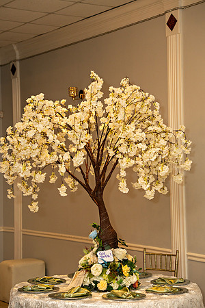 Shantrell And Bruno Wedding _0148