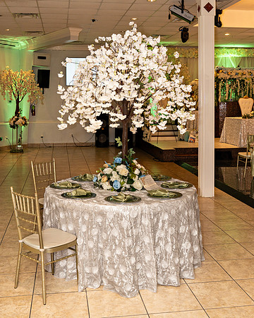 Shantrell And Bruno Wedding _0165