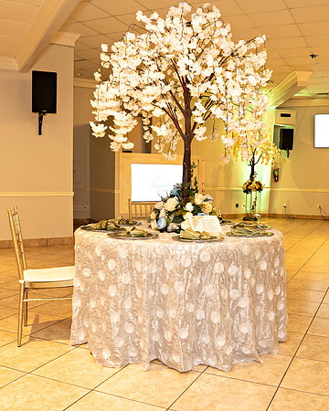 Shantrell And Bruno Wedding _0167