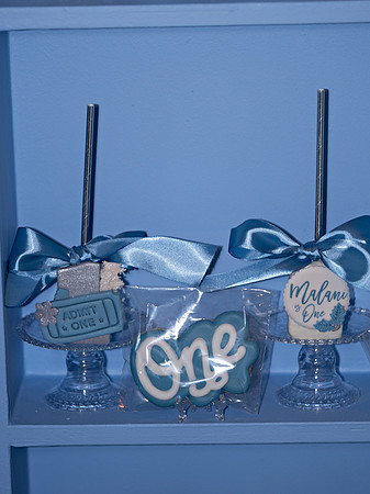 Malani's 1st Birthday Celebration _0164