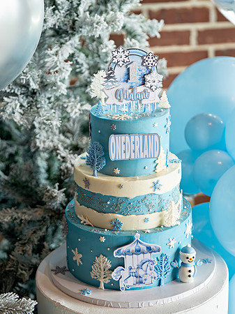 Malani's 1st Birthday Celebration _0169