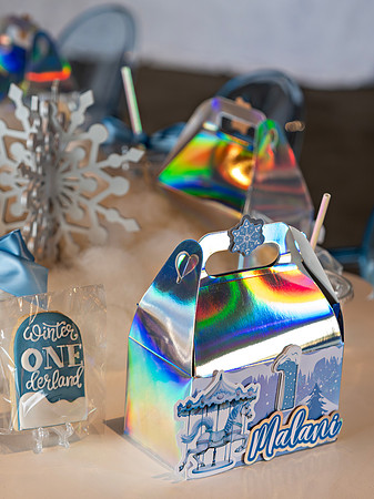 Malani's 1st Birthday Celebration _0174