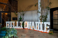 Billionaire Beverage Ball 0113