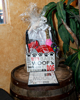 The Ark of Katy Fundraiser Event 2026_0109