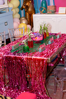 Barbie House HTX Tea Party_0102