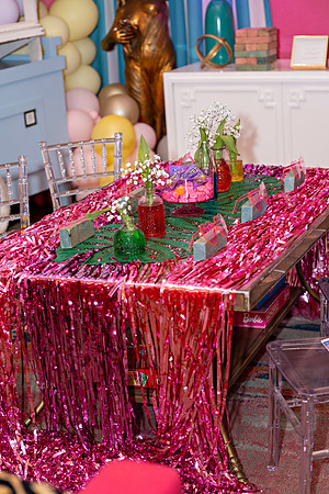 Barbie House HTX Tea Party_0102