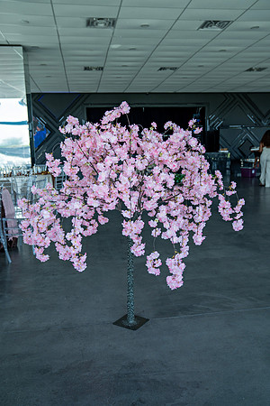 The Nelms’s Wedding_0254