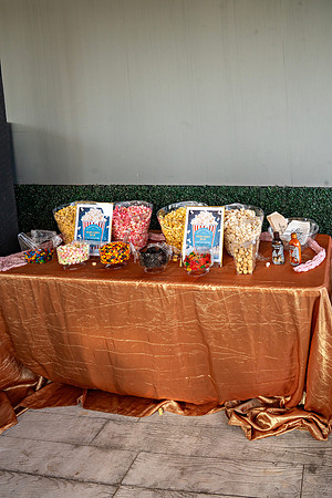 The Nelms’s Wedding_0253