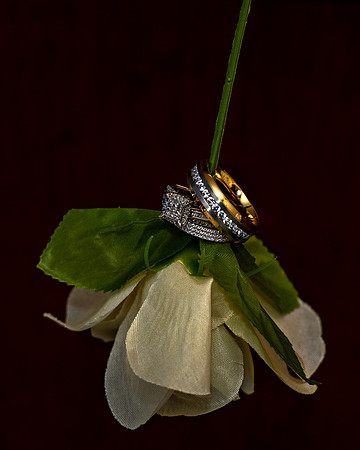Cobbe & Elizabeth Wedding_0110