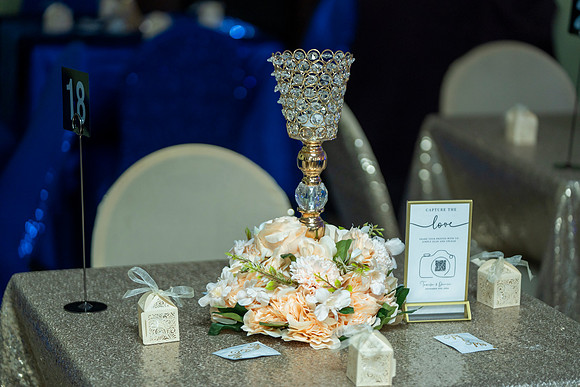 Darrin and Tamika Wedding _11022024_00113