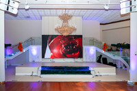 Billionaire Beverage Ball 0106