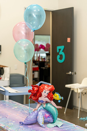 Rania's 5th Birthday Party__0102
