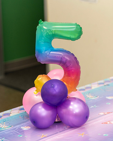 Rania's 5th Birthday Party__0101