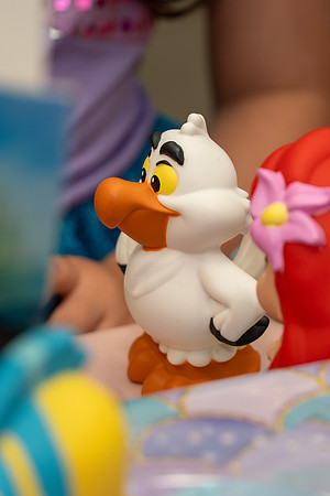 Rania's 5th Birthday Party__0110