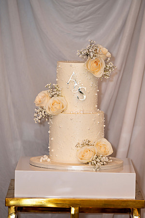 Adam and Ashley Wedding _0110